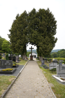 Friedhof