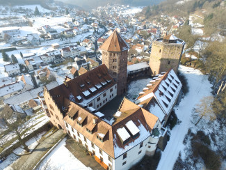 Burg Rieneck DJI