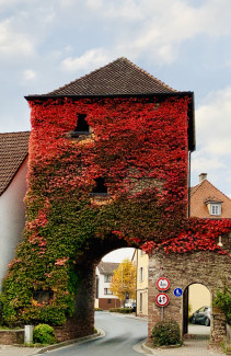 Das Tor zum Sinngrund